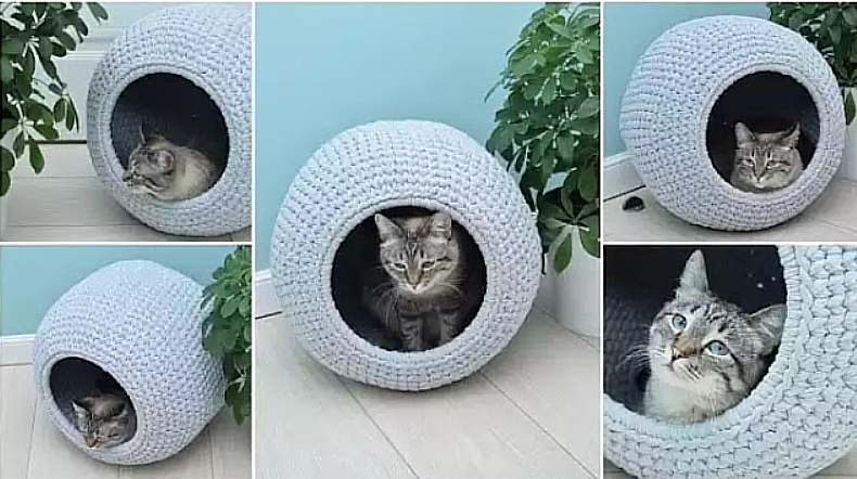 Bed for Cats and Dogs 🐾