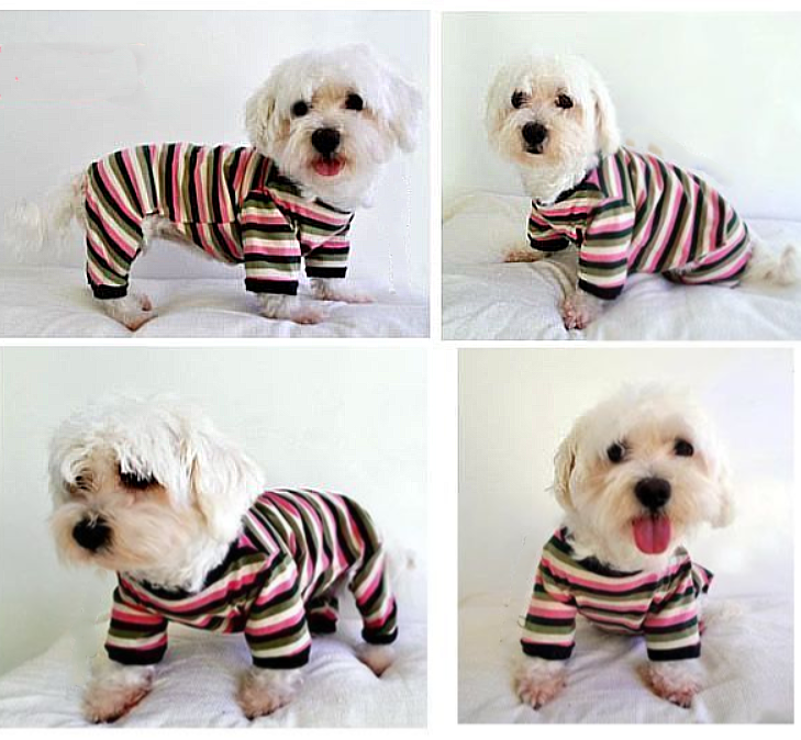 Clothes for Dogs and Cats 🐾