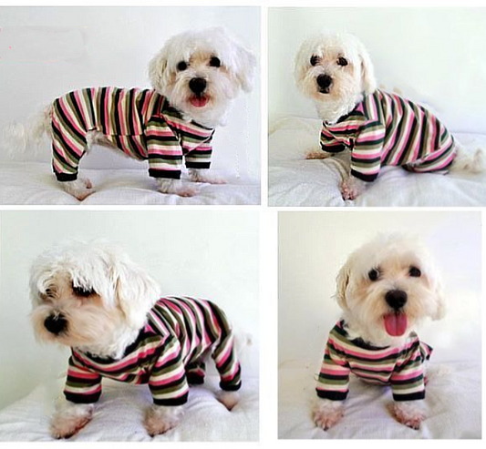 Clothes for Dogs and Cats 🐾